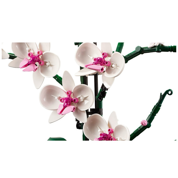 לגו 10311 פרח סחלב | LEGO 10311 Orchid Botanical Collection | הרכבות | פלאנט איקס | Planet X