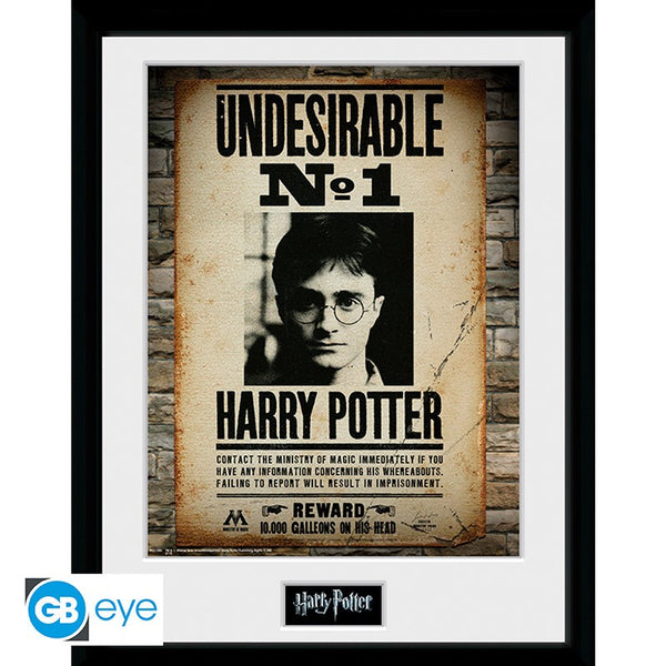 תמונה ממוסגרת הארי פוטר | Harry Potter Framed print Undesirable No 1