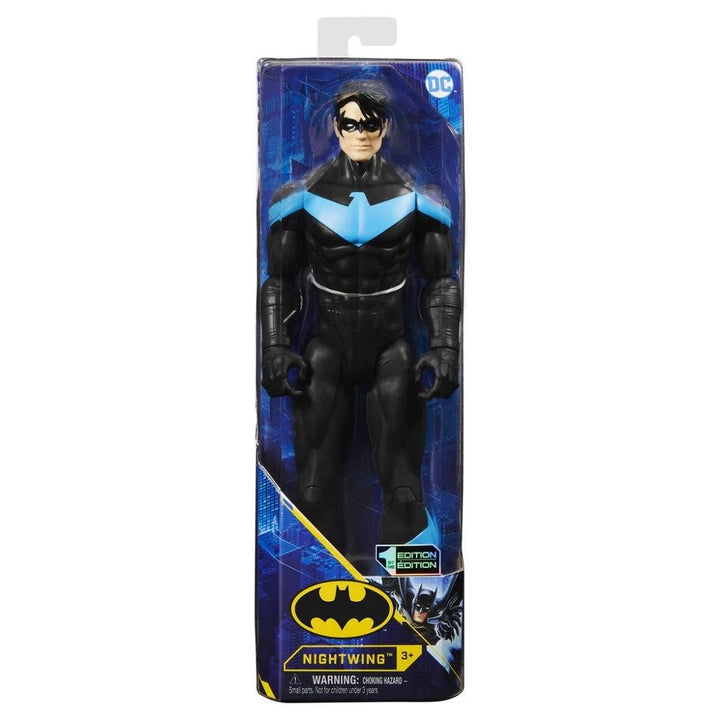 בובת נייטווינג 30 ס"מ | Nightwing 30cm Spin Master | דמויות וגיבורים | פלאנט איקס | Planet X